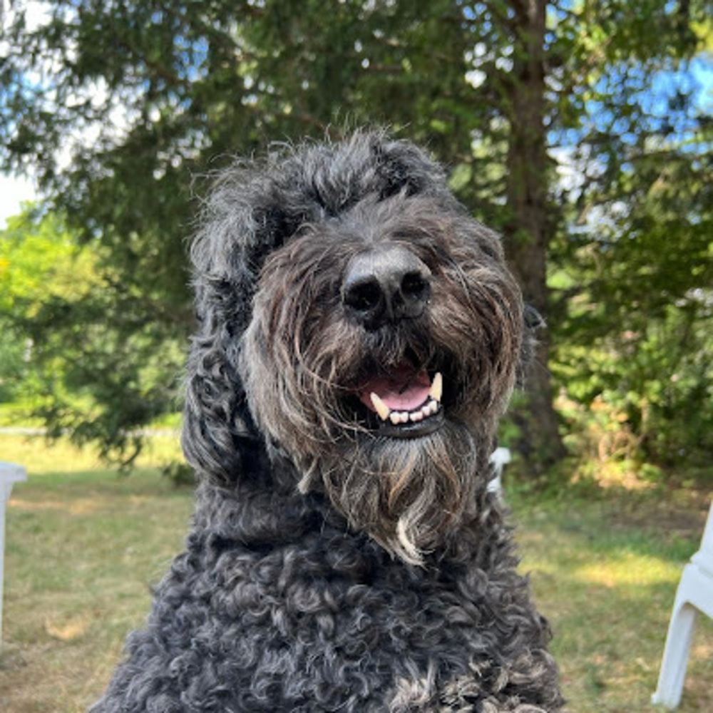 Meet your Posher, Matthew